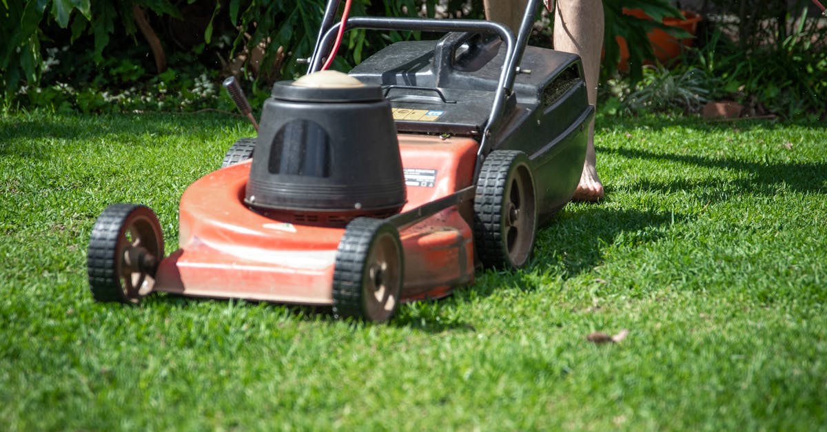 Services for Lawn Care in Mesa