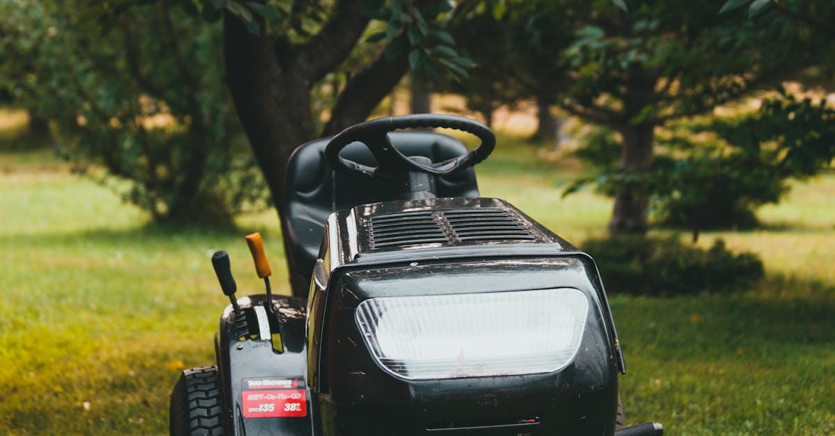 Lawn Care Services in Mesa